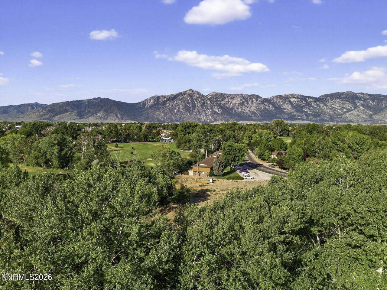 1051 Riverview Drive, Gardnerville, NV 89460 Photo