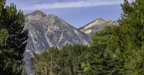 1051 Riverview Drive, Gardnerville, NV 89460 Photo