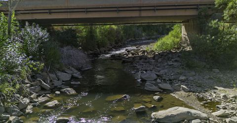 1051 Riverview Drive, Gardnerville, NV 89460 Photo