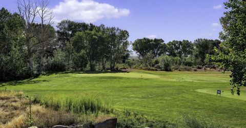 1051 Riverview Drive, Gardnerville, NV 89460 Photo