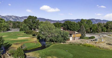 1051 Riverview Drive, Gardnerville, NV 89460 Photo