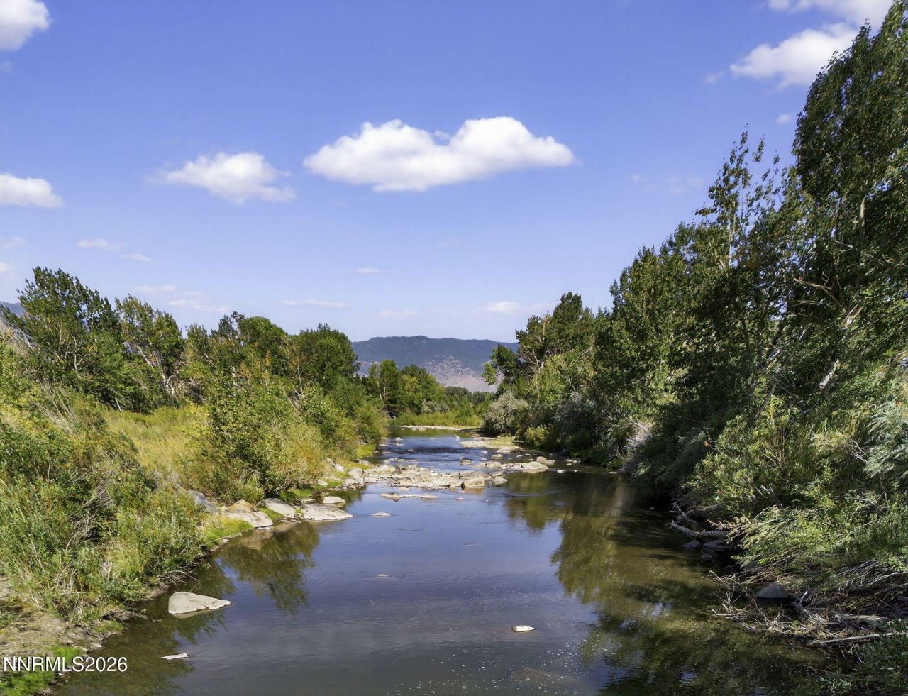 1051 Riverview Drive, Gardnerville, NV 89460 Photo