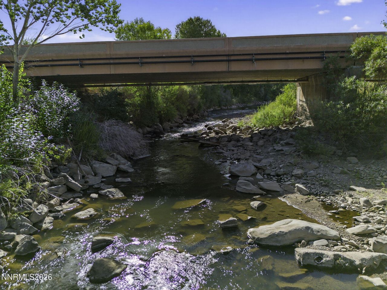 1051 Riverview Drive, Gardnerville, NV 89460 Photo