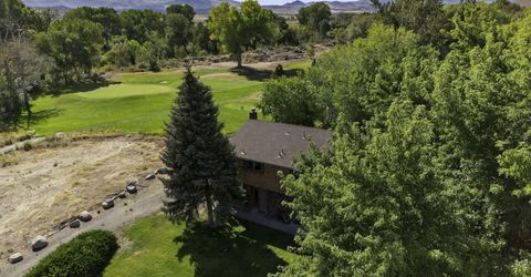 1051 Riverview Drive, Gardnerville, NV 89460 Photo