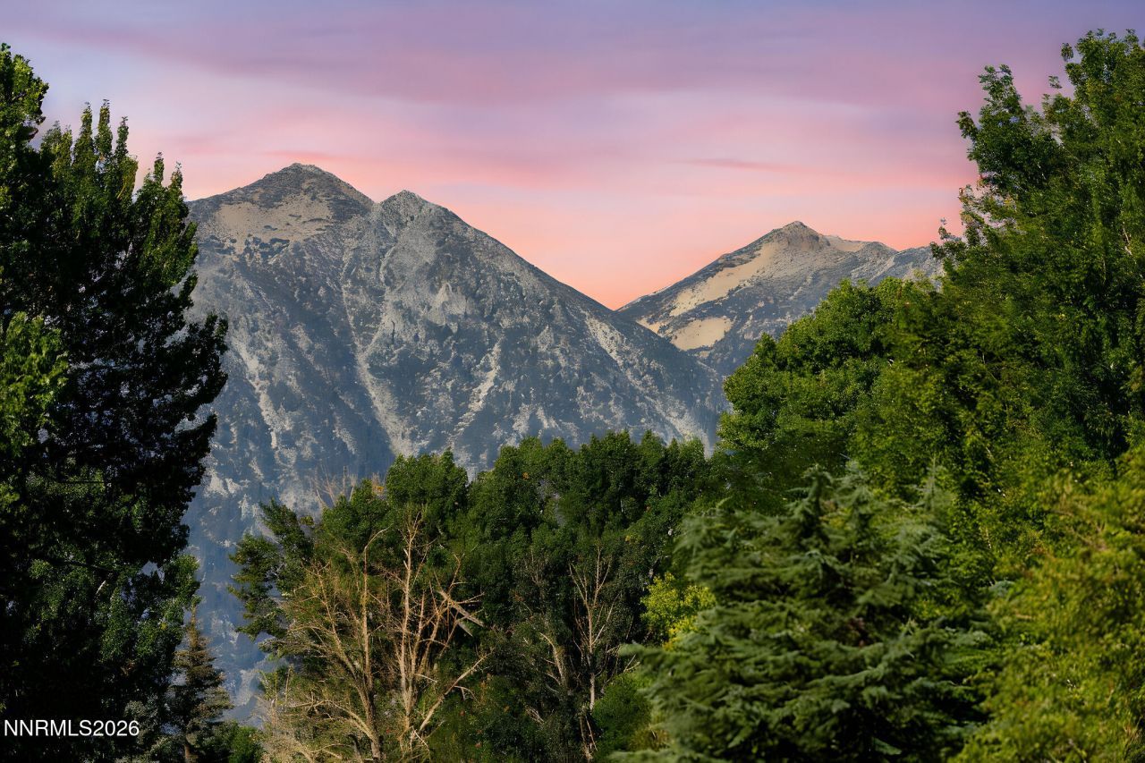 1051 Riverview Drive, Gardnerville, NV 89460 Photo