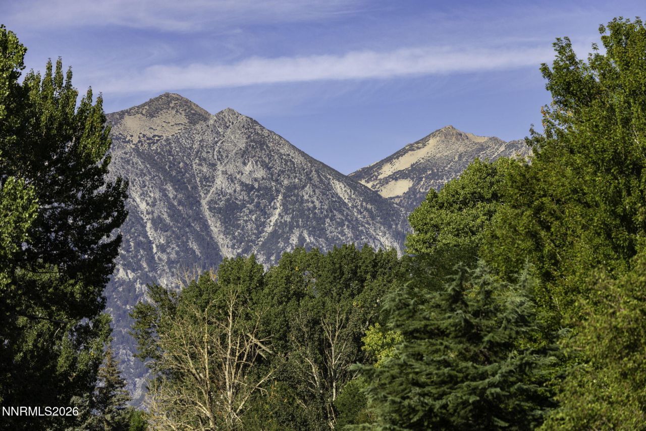 1051 Riverview Drive, Gardnerville, NV 89460 Photo