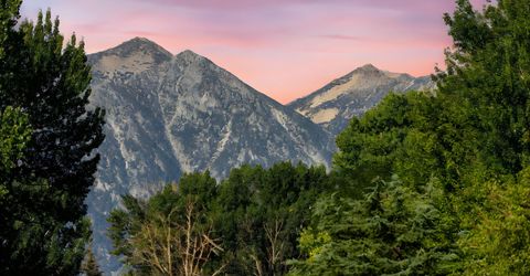 1051 Riverview Drive, Gardnerville, NV 89460 Photo