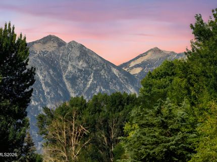 1051 Riverview Drive, Gardnerville, NV 89460 Photo