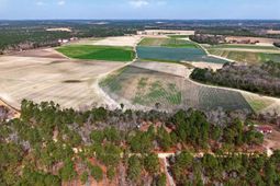 0 Rimrock Road photo 4