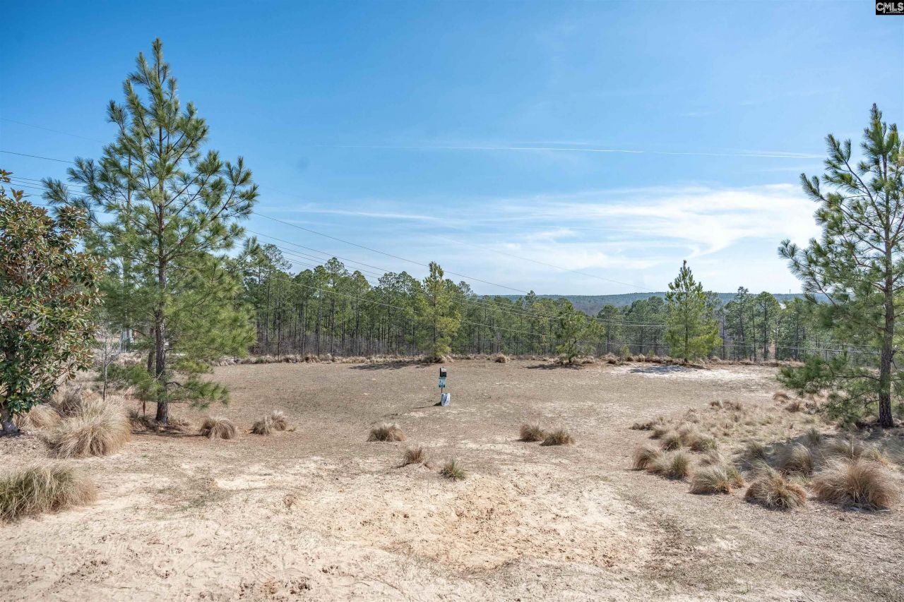 2249 Trakand Drive Photo 28