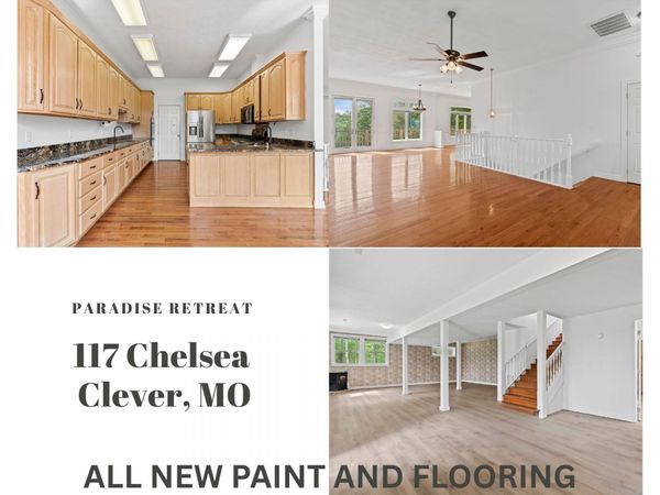 117 Chelsea Lane, Clever, MO 65631