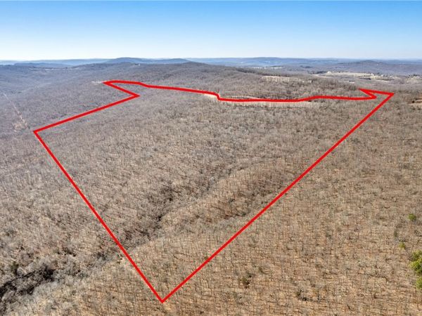 TBD Mineral Springs Road , West Fork, AR 72774