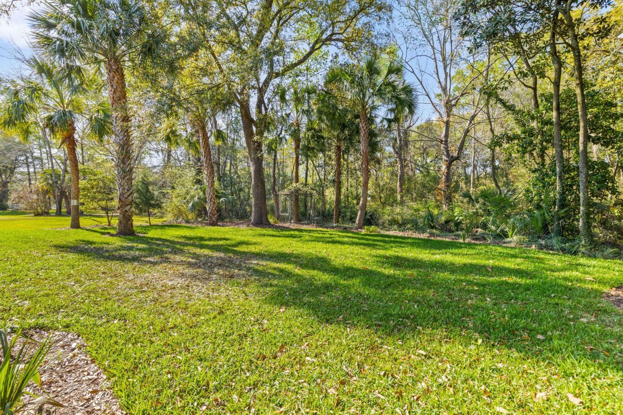 118 Scott Street Photo 49