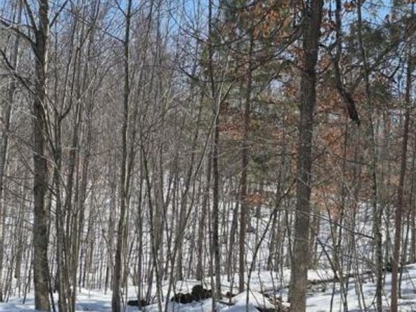 Lots 10 & 11 Wintergreen Trail, Danbury, WI 54830
