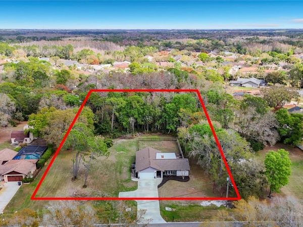 12504 TWIN BRANCH ACRES ROAD, TAMPA, FL 33626