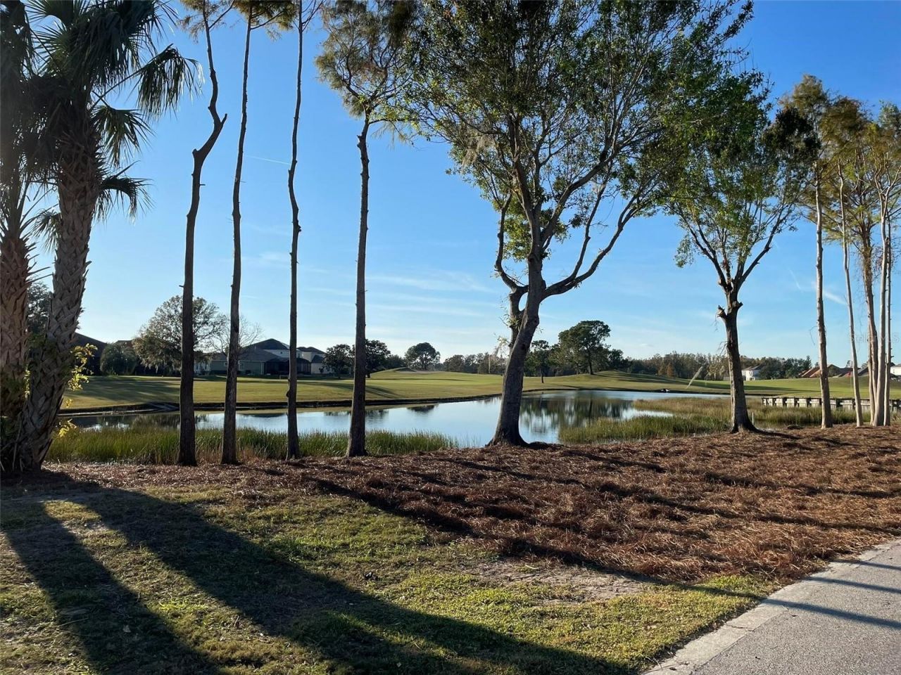 17708 Sawgrass Run, Deer Island, FL 32778 Photo