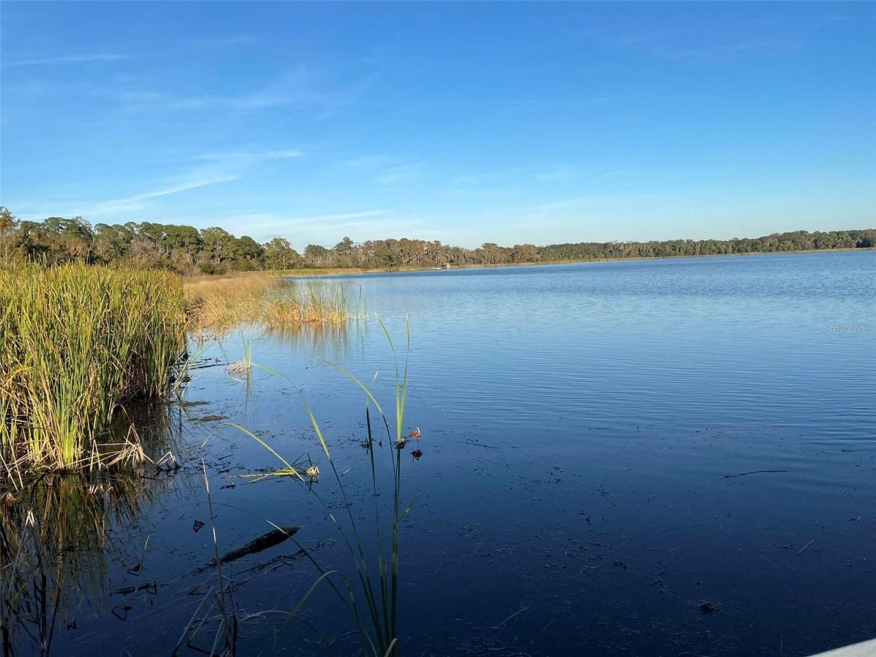 17708 Sawgrass Run, Deer Island, FL 32778 Photo