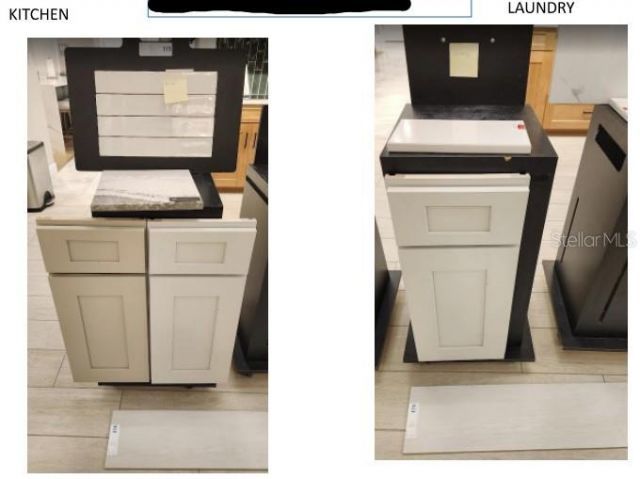 30365 Imperati Boulevard, Wesley Chapel, FL 33543 Photo