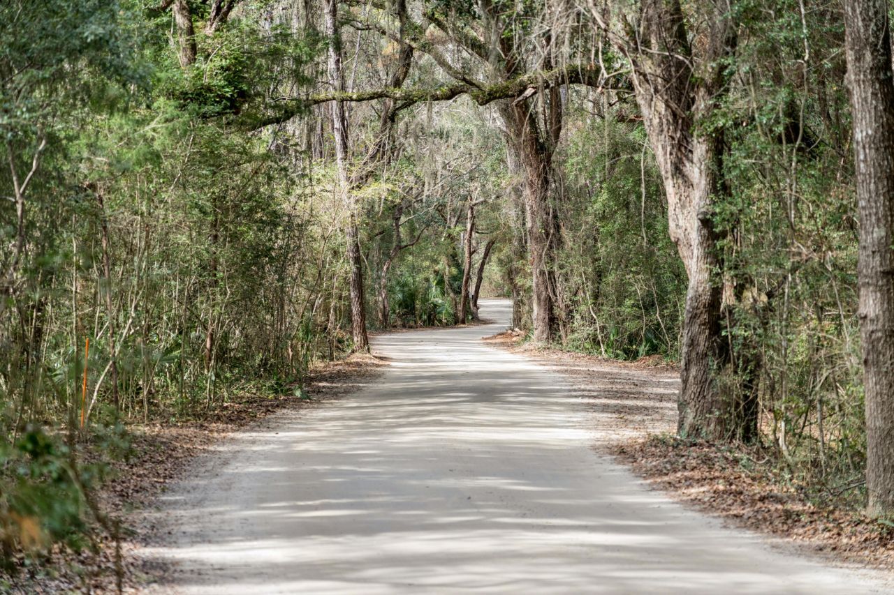 1130 Hammocks Way Photo 58