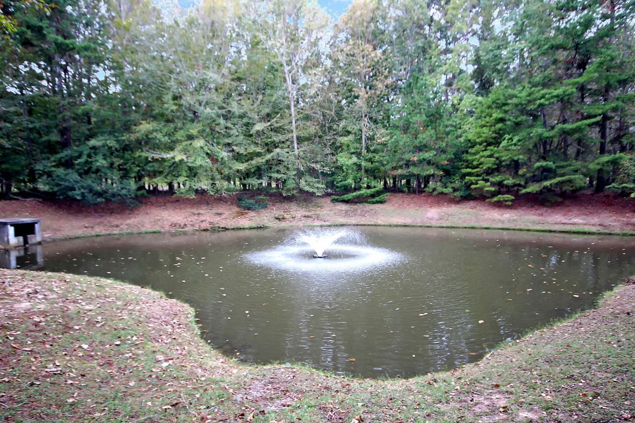 908 W Marymont Lane Photo 9