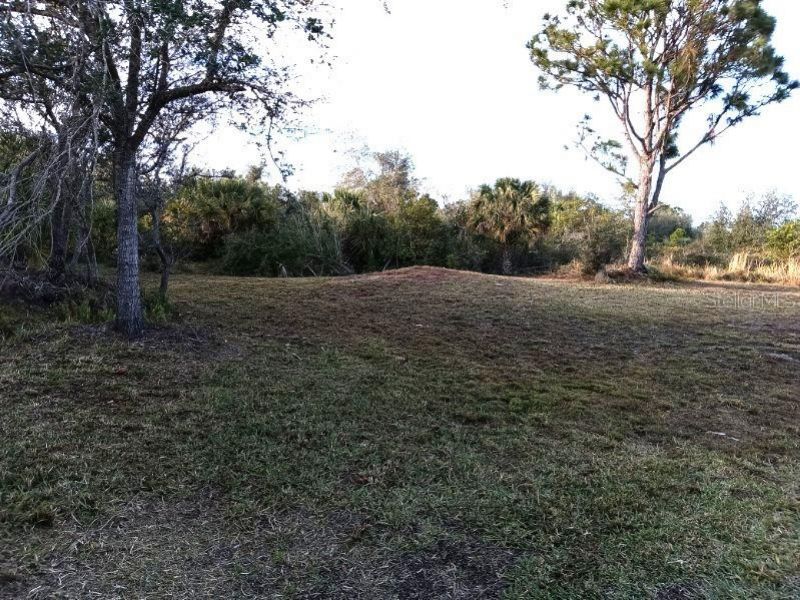 27498 Neaptide Drive , Punta Gorda, FL 33983 Photo