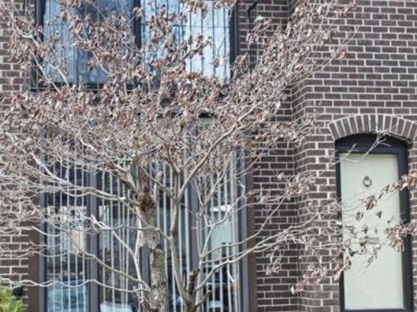 4960 SCHUYLER DRIVE , ANNANDALE, VA 22003