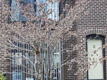 4960 SCHUYLER DRIVE , ANNANDALE, VA 22003