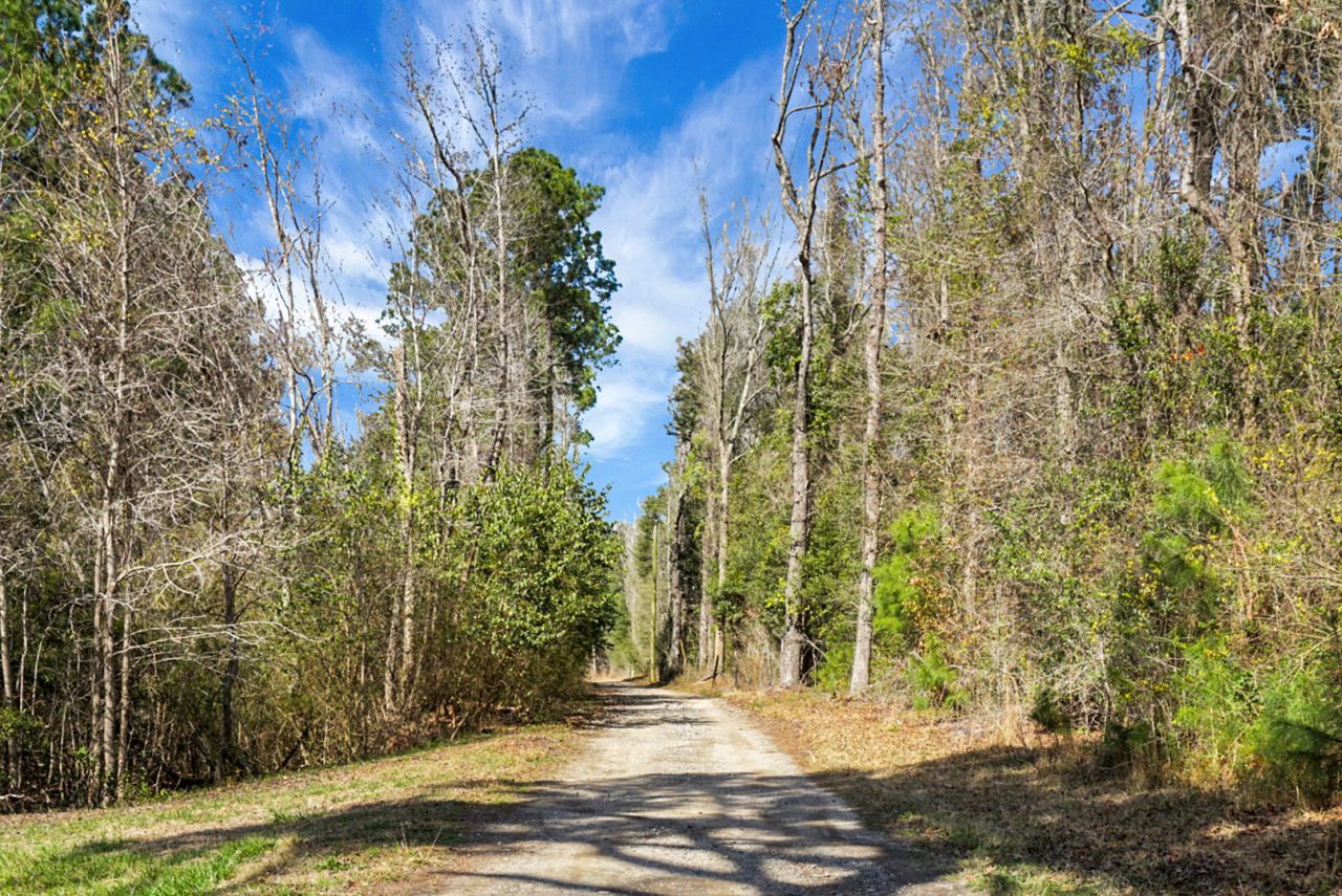 129 Melrose Place Photo 29