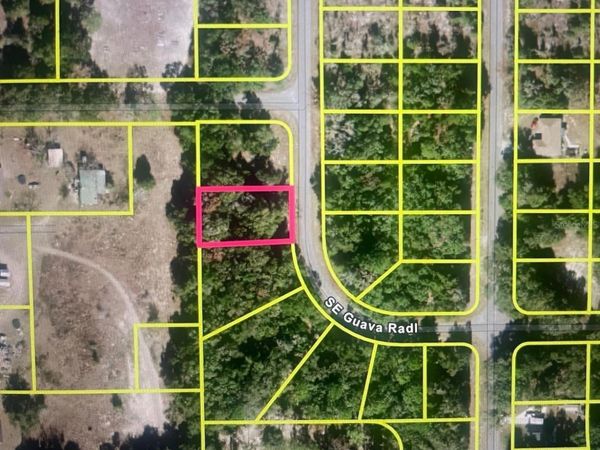 GUAVA TERRACE RADIAL , OCKLAWAHA, FL 32179