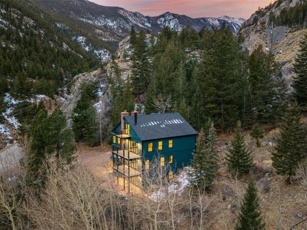 205 Loop Drive, Georgetown, CO 80444