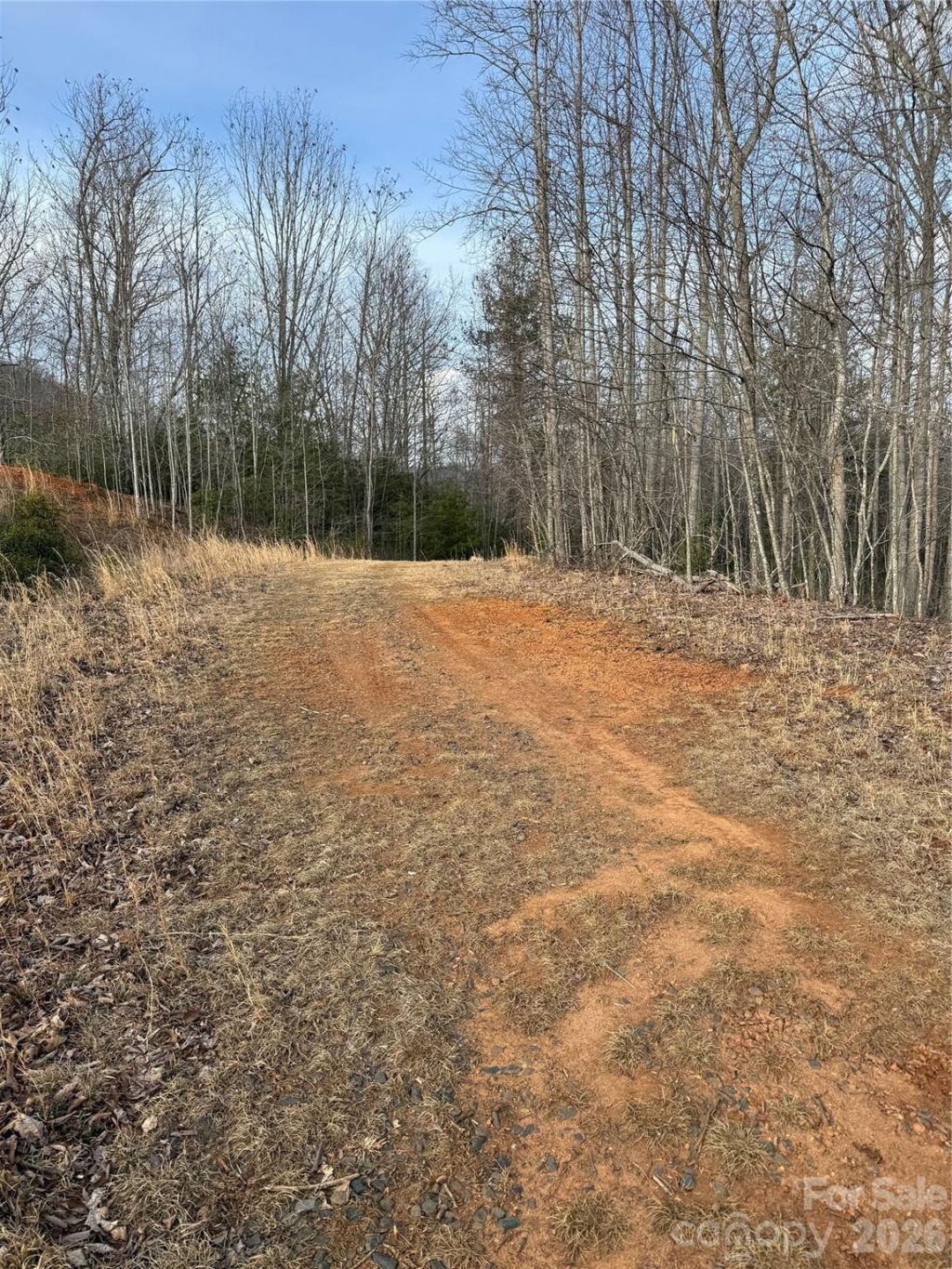 0 White Fawn Drive, Spruce Pine, NC 28777 Main Photo