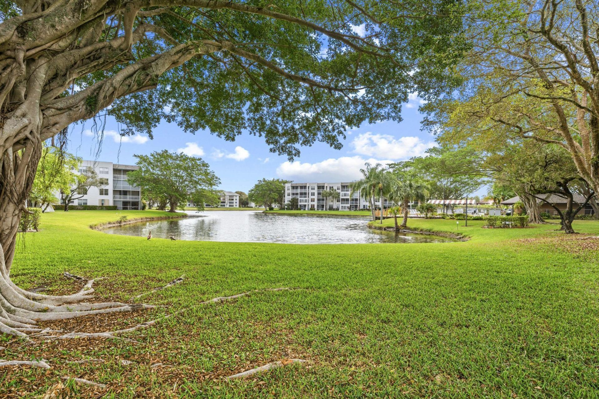 9340 Lagoon Place, Unit 206, Davie, FL 33324 Photo
