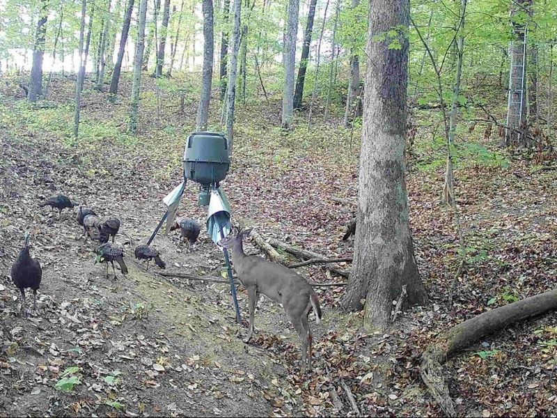 35702 Malone Road, Wilkesville, OH 45695 Photo 89