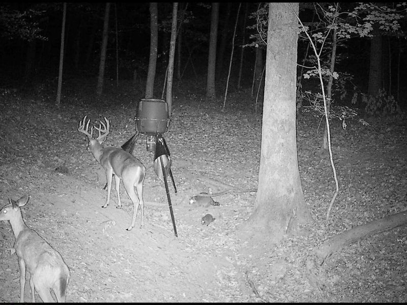 35702 Malone Road, Wilkesville, OH 45695 Photo 90