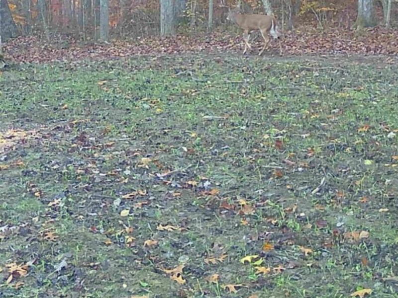 33341 Flat Run Road, McArthur, OH 45651 Photo 38