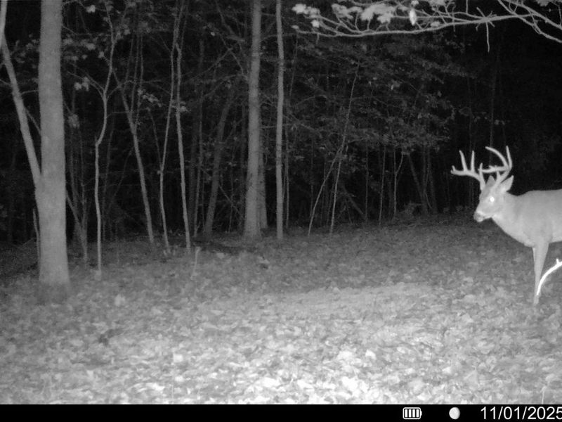 33341 Flat Run Road, McArthur, OH 45651 Photo 39