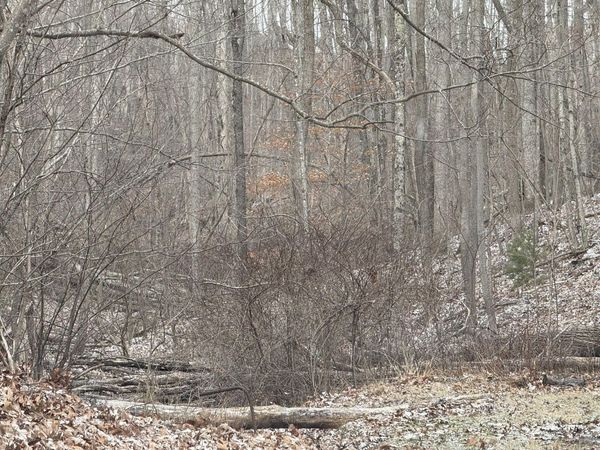 1000 Union St Ext, Bluefield, WV 24701