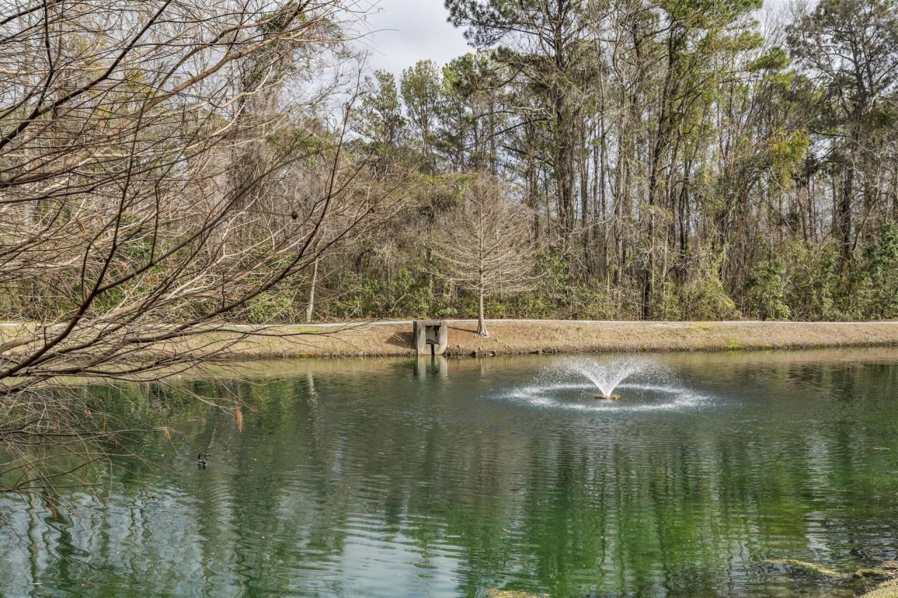 2228 Chatelain Way Photo 20