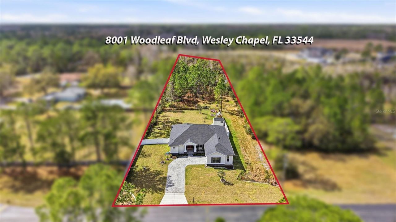 8001 Woodleaf Boulevard, Wesley Chapel, FL 33544 Photo