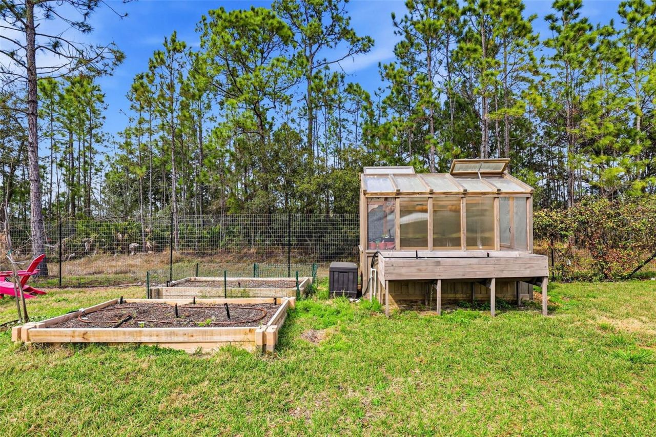 8001 Woodleaf Boulevard, Wesley Chapel, FL 33544 Photo