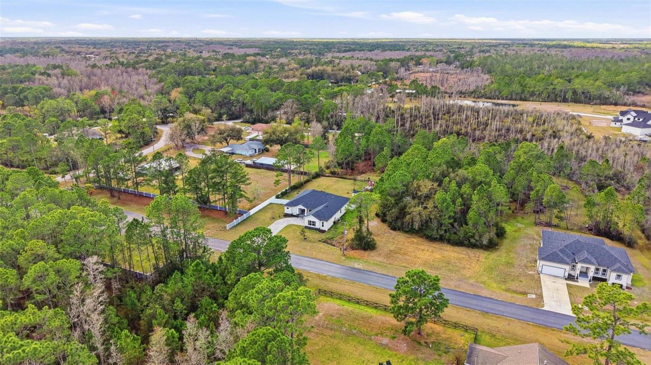 8001 Woodleaf Boulevard, Wesley Chapel, FL 33544 Photo