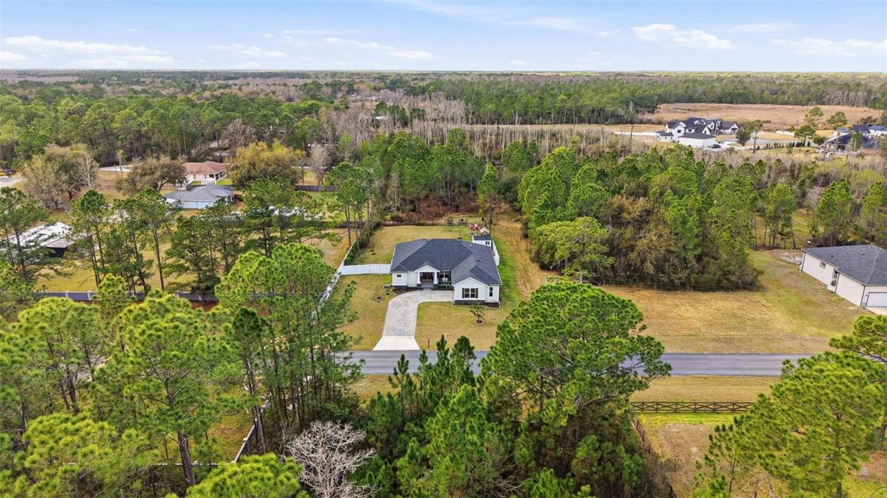 8001 Woodleaf Boulevard, Wesley Chapel, FL 33544 Photo