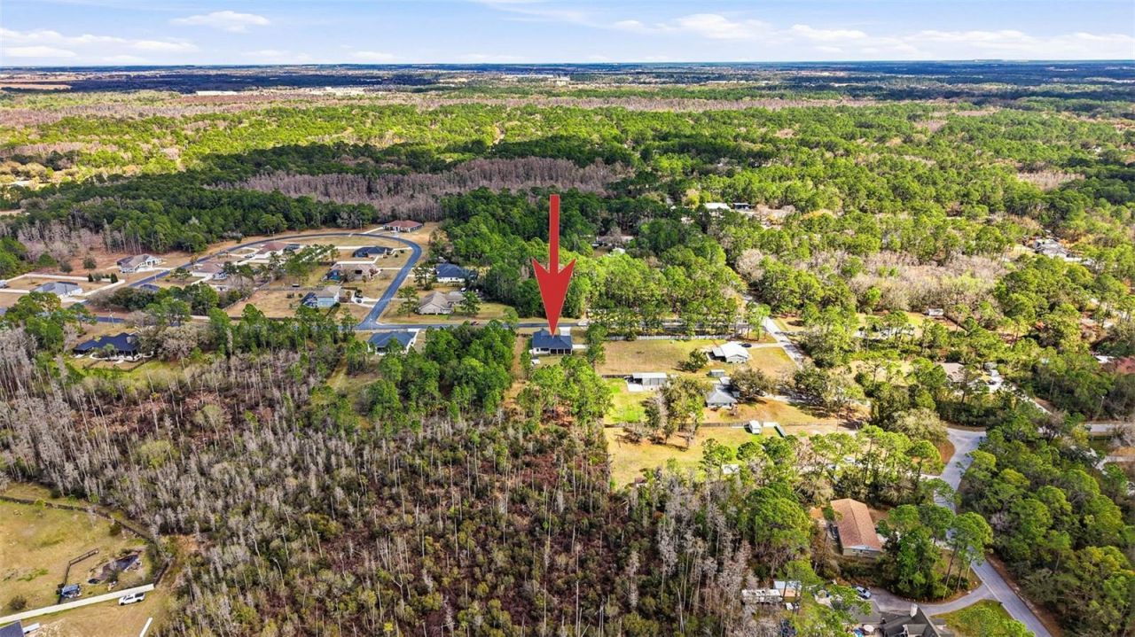 8001 Woodleaf Boulevard, Wesley Chapel, FL 33544 Photo