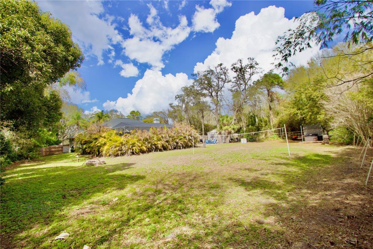 2920 Meadowood Drive, New Port Richey, FL 34655 Photo