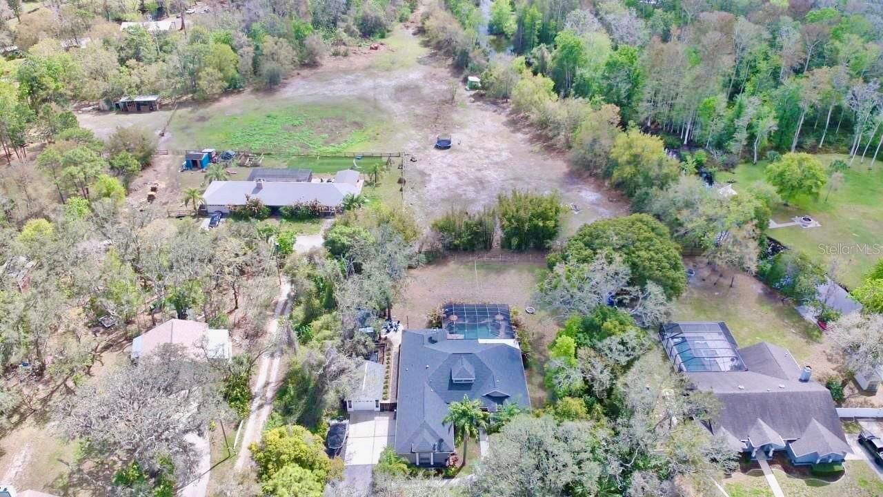 2920 Meadowood Drive, New Port Richey, FL 34655 Photo