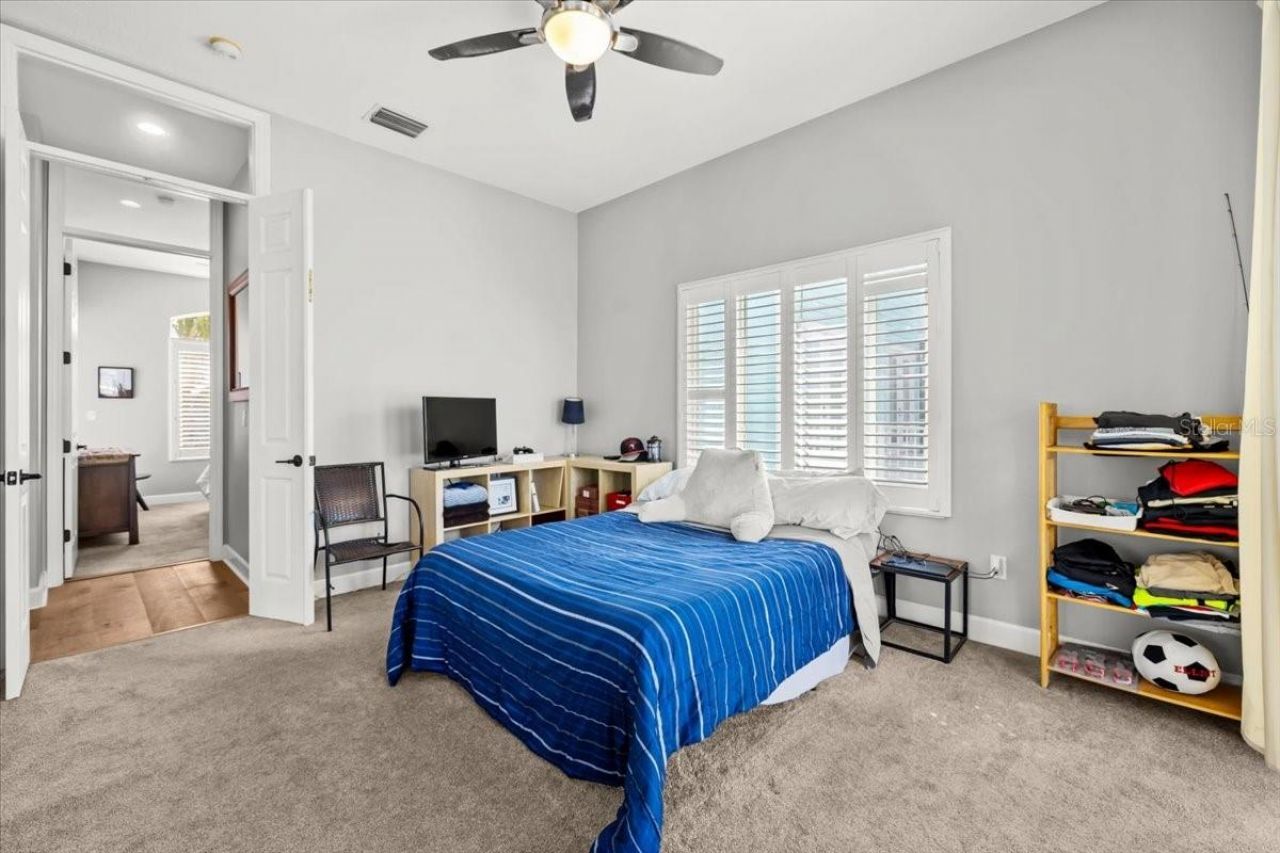 8117 Brighton Drive, Port Richey, FL 34668 Photo