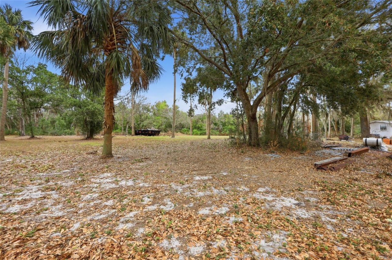 2505 Canal Road, Lake Wales, FL 33898 Photo