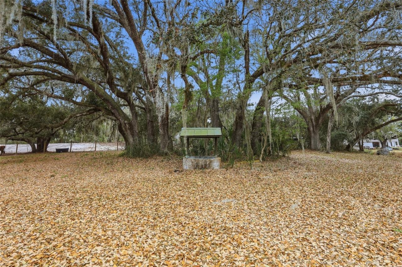 2505 Canal Road, Lake Wales, FL 33898 Photo