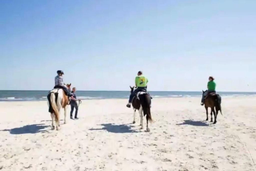 427 Sea Grove, Port Saint Joe, FL 32456 Photo