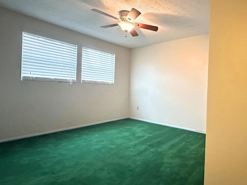 6348 Showy Court, Westerville, OH 43081 Photo 13